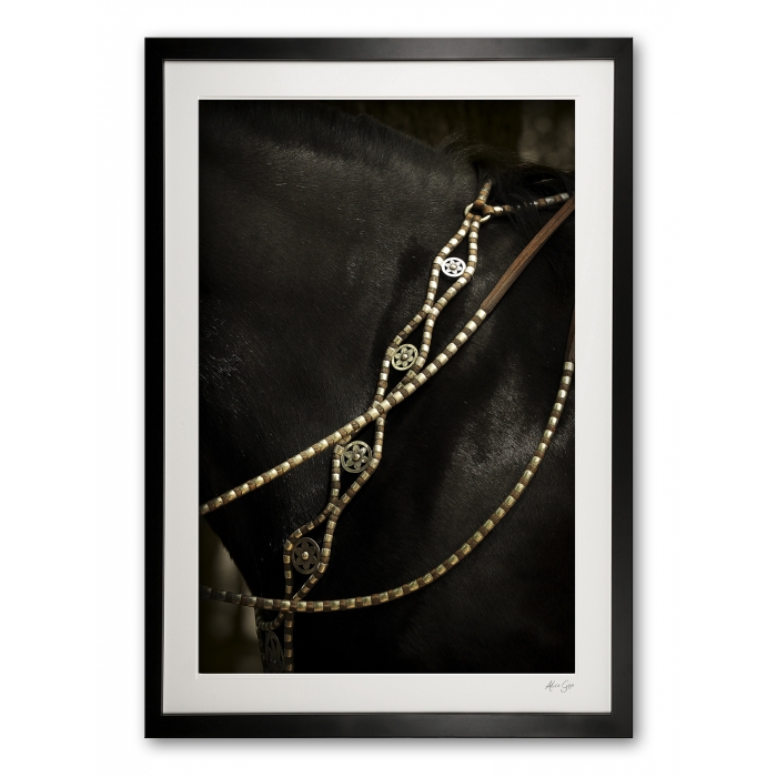 136_a__silver_breast_plate_detail_i_e56g9265_1_framed