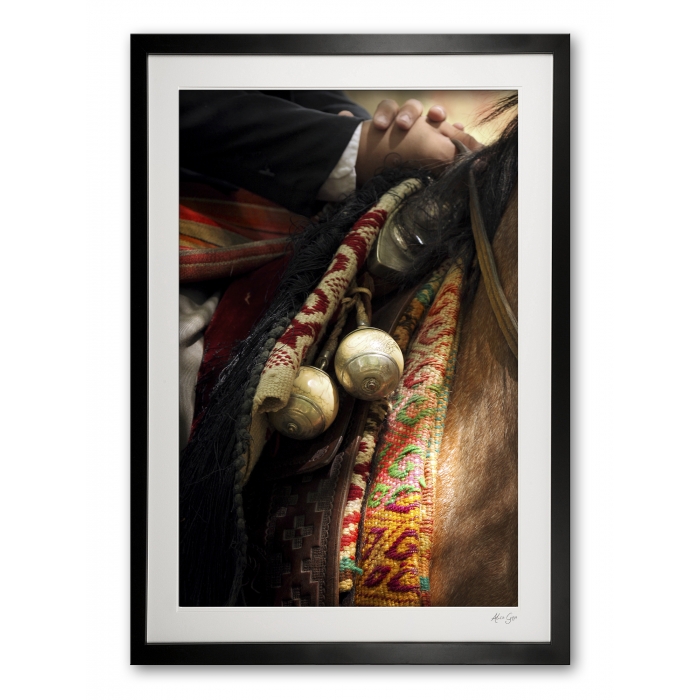 137_b__bolas_i_e56g9235_framed