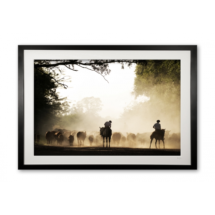 143_a__lincoln_gauchos_colour_e56g9998_framed