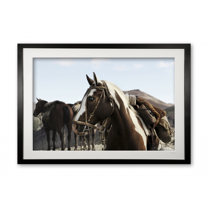 144_e__mo_e56g3945_framed