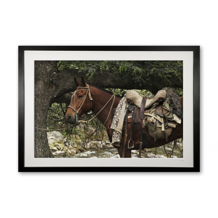 144_j__gaucho_gear_ii_e56g4574_framed