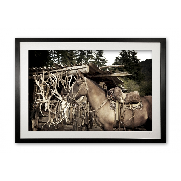 144_k__gaucho_gear_iii_e56g4804_framed