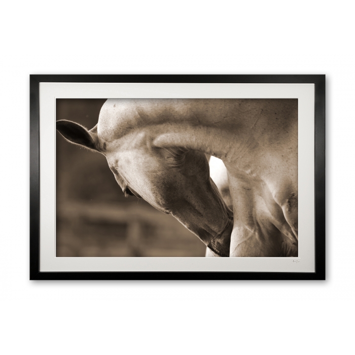 004__relax_075x1194_framed