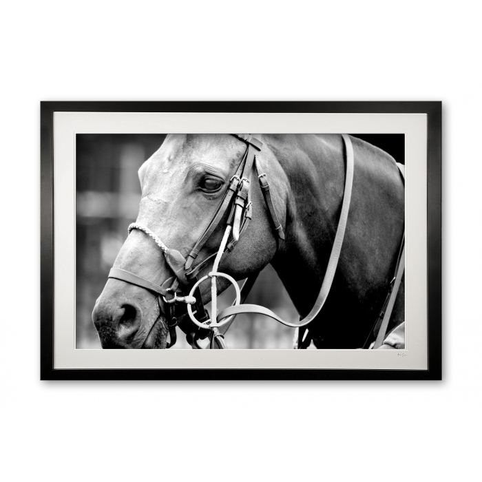 009__polo_pony_black_white_414_1455_framed