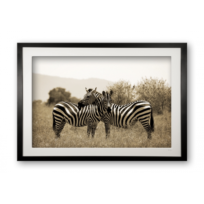 00034_friends_cubix_special_editionof_25_framed_1792518031