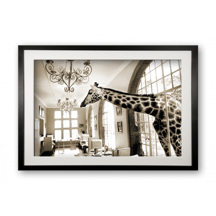 00046_breakfast_companion_cubix_-_special_edition_of_25_framed_277291467