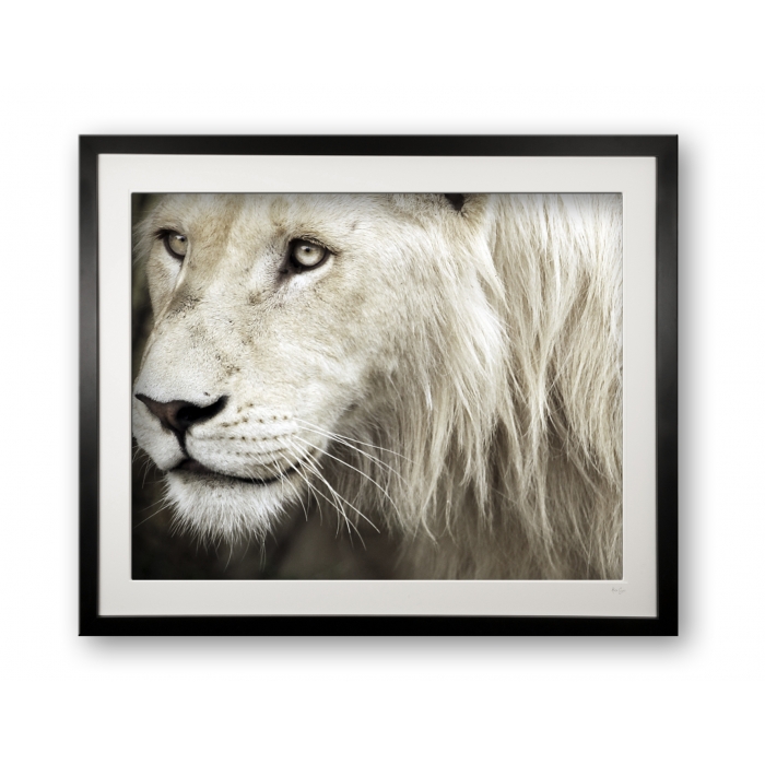 05__stalking_e56g4284_faded_colour_-_limited_edition_of_25_framed_693640454