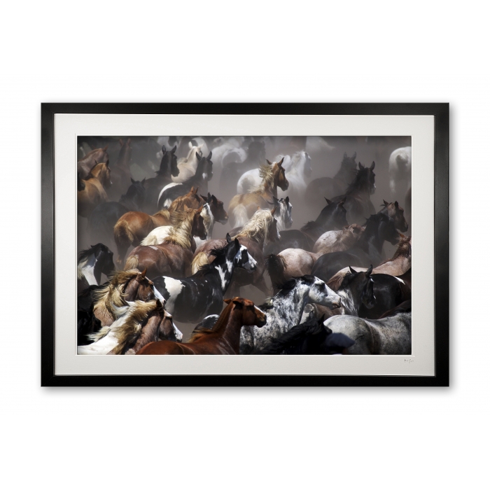 001_a__tropillas_in_colour_e56g9039_edited_framed_1099869640