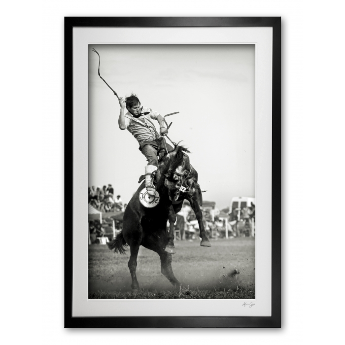 113_c__rough_ride_e56g7811_special_edition_framed_1460543974