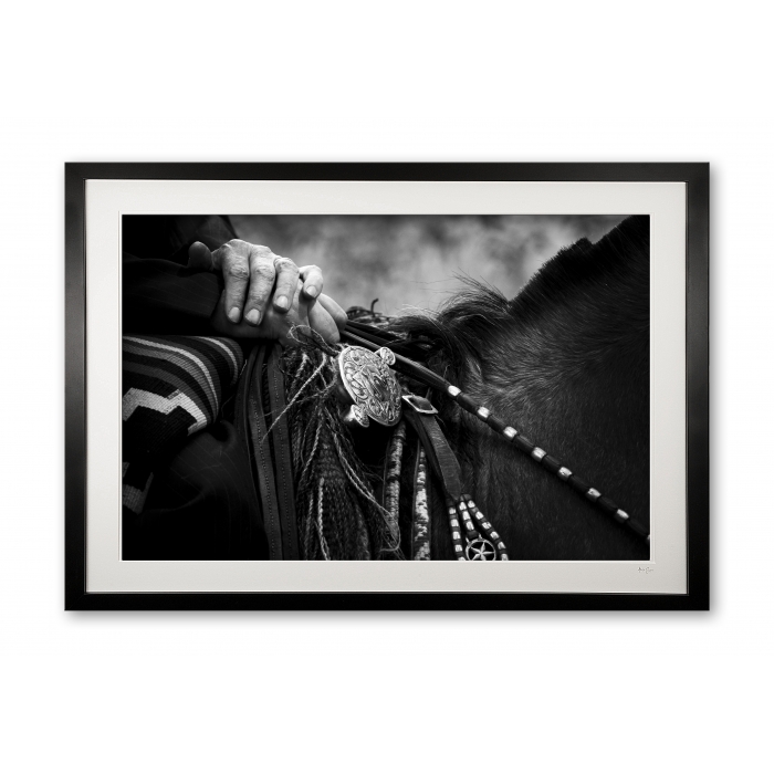 137_e_silver_recardo_detail_ii_framed_specail_edition_of_25_600361043