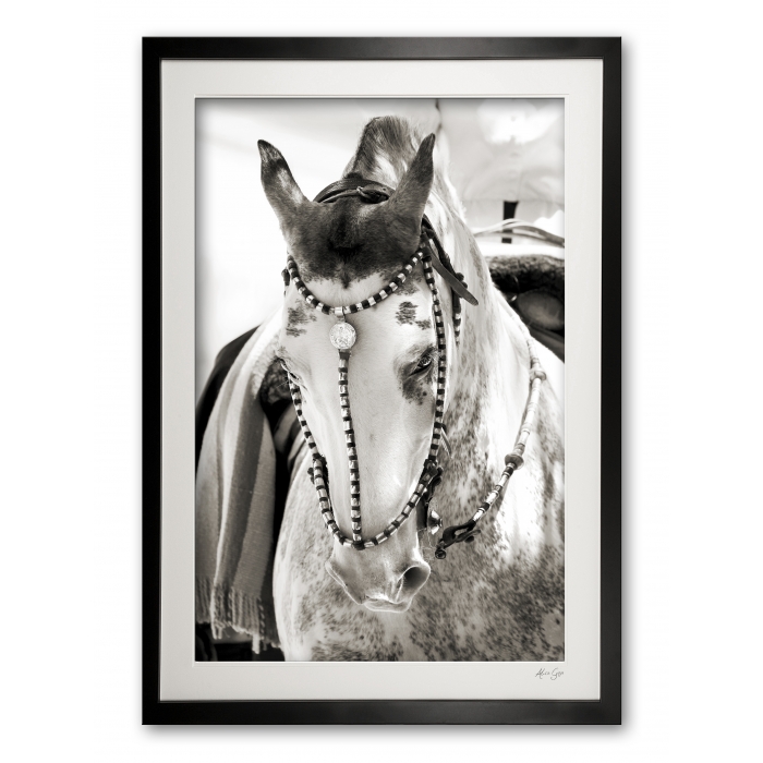 117_a__festival_finery_iv_e56g0001_sepia_framed_2117274488