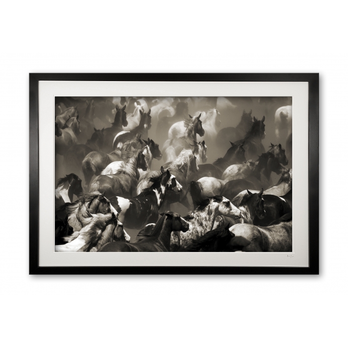 001_b__tropillas_in_sepia_e56g9039_framed_edited