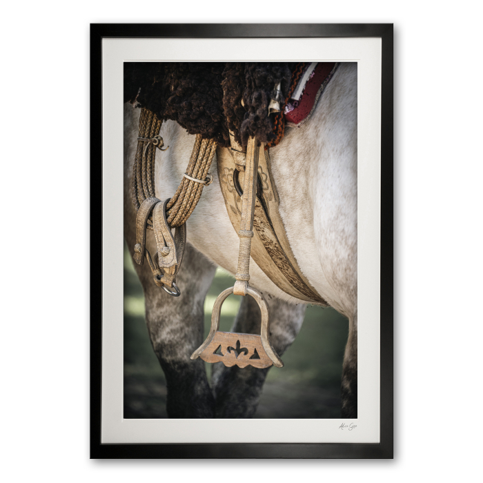 120_d__estribo_ii0e5a9383