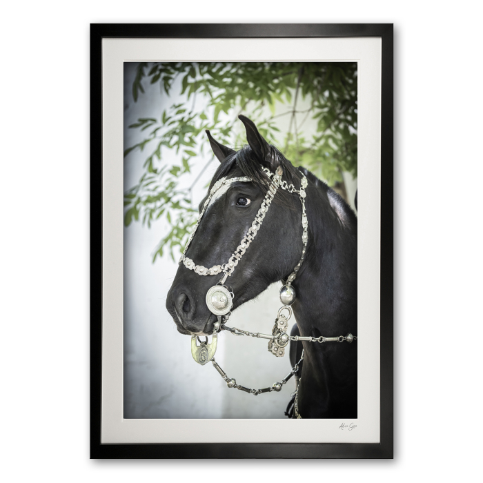 120_e__areco_festival_vi_0e5a9538