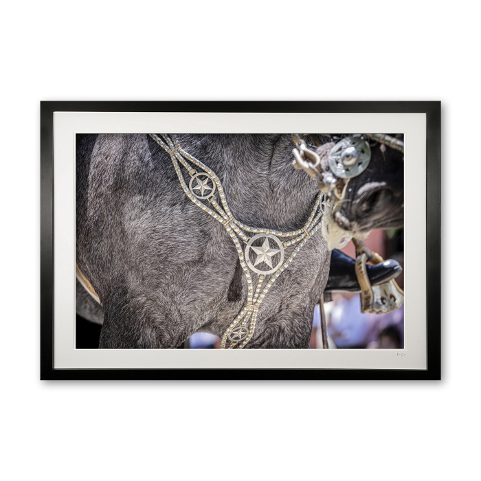 120_g__silver_breastplate_iv_0e5a9896