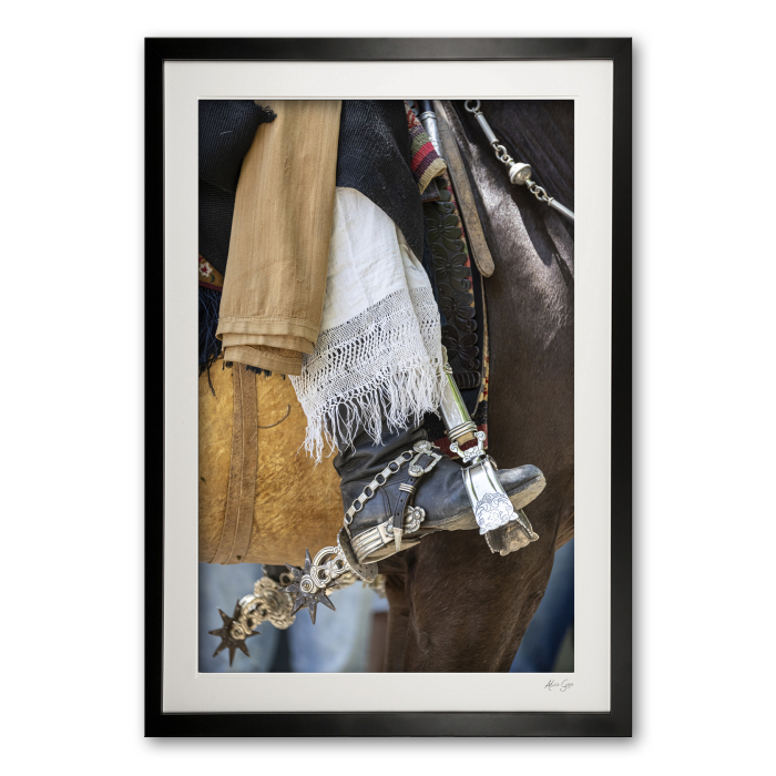 120_h__criollo_silver_stirrup_iv_framed_0e5a9813