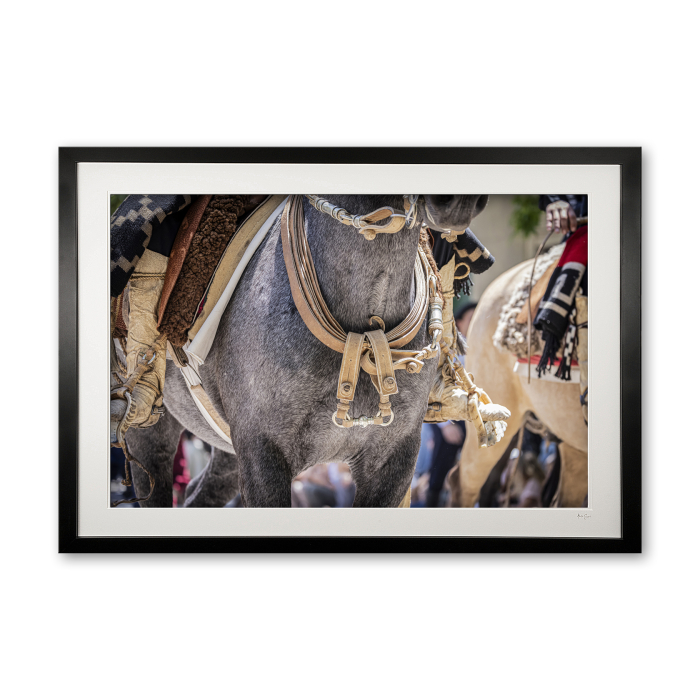 120_k__manea_framed_0e5a9815