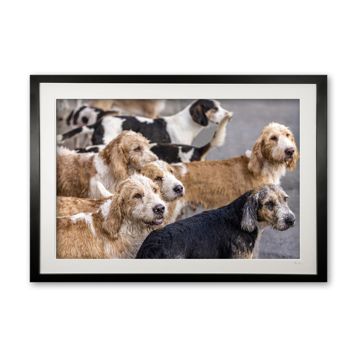 149_c__the_pack_841449134