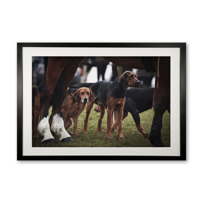 150_a__hooves_and_hounds_ii_framed_0e5a7097
