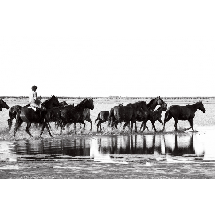 'Water Goucho III'