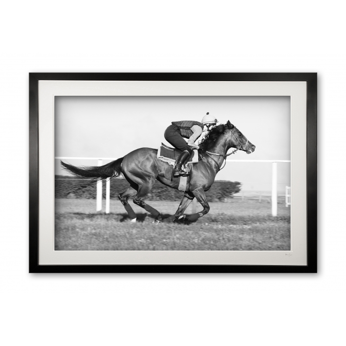 048_m__racehorse_img_3265_bw_ii_framed
