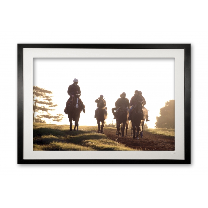 048_q__misty_morning_gallops_iii_e56g7457_framed