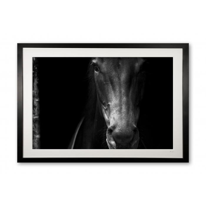 048_u__epsom_racehorse_iii_e56g7898_bw3_framed