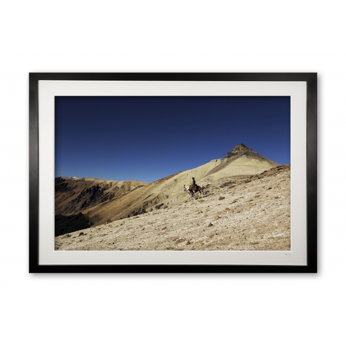 144_c__homeward_bound_e56g2684_framed