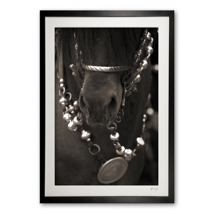 029__b__argentine_tack_detail_in_sepia___breastplate_framed