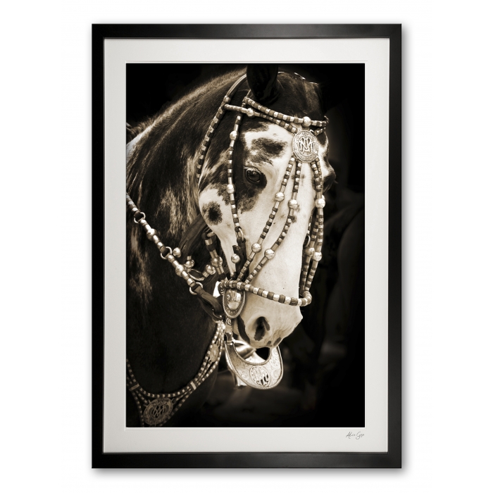 117_a__festival_finery_i_e56g0001_sepia_framed